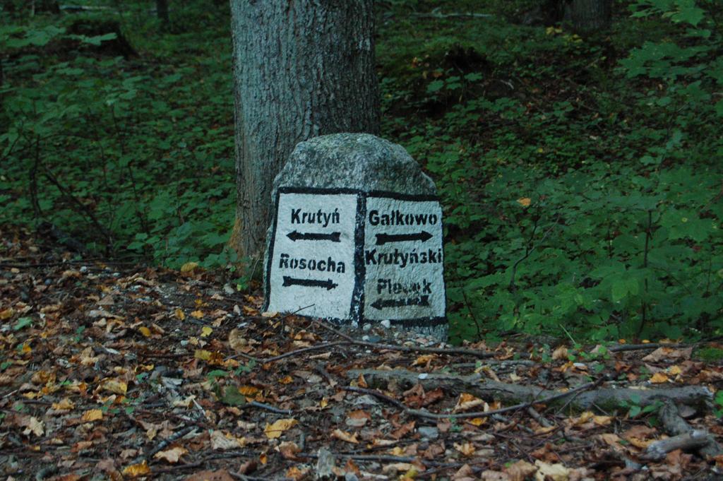Stara Papiernia Zielony Lasek Krutynski Piecek Luaran gambar